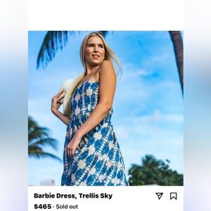 NWOT Kahora Barbie Maxi Dress in Trellis Sky Size Medium